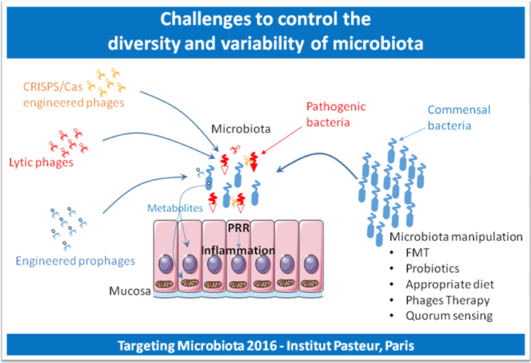 challenges to control diversity variability microbiota