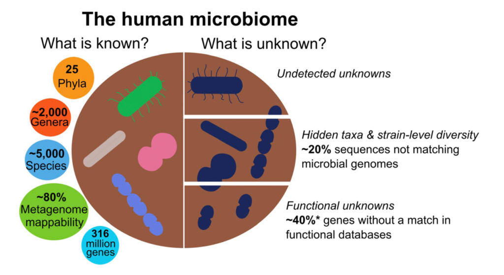 knows microbiota 1024x558