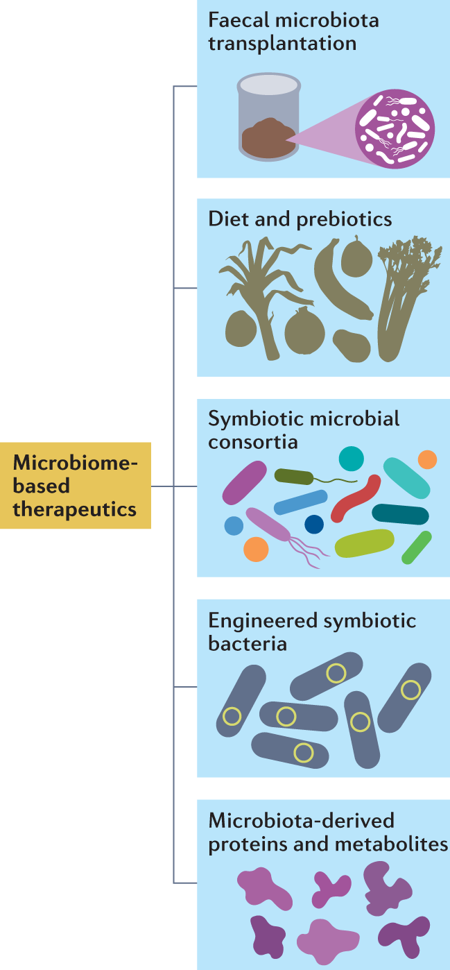 Microbiome based therapeutics 1