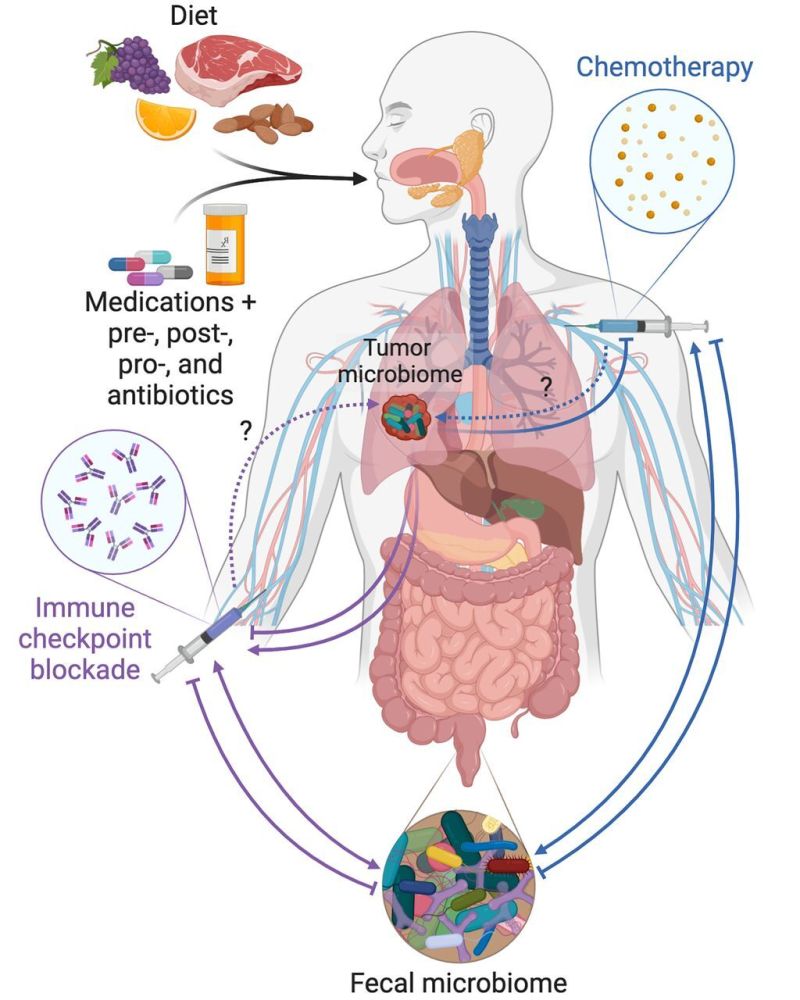 microbiome and cancer