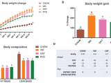 Oat and Rye Bran Fibers Alter Gut Microbiota, Reducing Weight Gain and Hepatic Inflammation