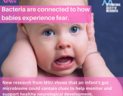 Bacteria are connected to how babies experience fear