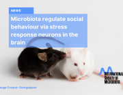 Microbiota regulate social behaviour via stress response neurons in the brain