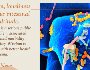 Wisdom, Loneliness and your Intestinal Multitude