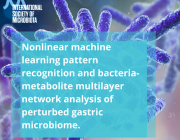 Nonlinear Machine Learning Pattern Recognition and Bacteria-Metabolite Multilayer Network Analysis of Perturbed Gastric Microbiome