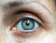  An Oral Probiotic Can Treat Dry Eye Disease