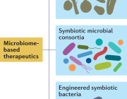 Microbiome-Based Therapeutics