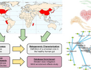 Exploring the universal healthy human gut microbiota around the World