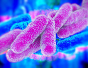 Latest Improvements in Gut Microbiota Analysis