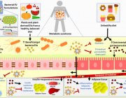 Effects of gut microbiota-derived extracellular vesicles on obesity and diabetes and their potential modulation through diet