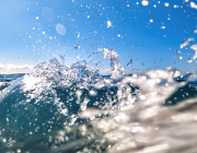 Drinking Refined Deep-Sea Water: Impact on Gut Ecosystem &  Intestinal Health